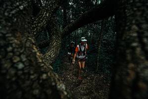 BIB: 
                            <button type="button" onclick="openModal(25688502)" class="btn btn-primary btn-sm float-right btn-popup" data-toggle="modal" data-target=".modal-high-quality">
                        <i class="fas fa-shopping-cart"></i> Add to Cart
                    </button>
                                            <button type="button" onclick="isThisMe(25688502, true)" class="btn btn-success btn-sm float-right btn-popup btn-isme hidden" data-toggle="tooltip" data-placement="bottom" title="นี่คือรูปของคุณใช่ไหม คลิกที่นี่เพื่อเอาเข้าอัลบั้ม">
                        <i class="fas fa-plus"></i> Add to album
                    </button>
                    <button type="button" onclick="isThisMe(25688502, false)" class="btn btn-warning btn-sm float-right btn-popup btn-isnotme hidden">
                        <i class="fas fa-ban"></i> Remove from album
                    </button>